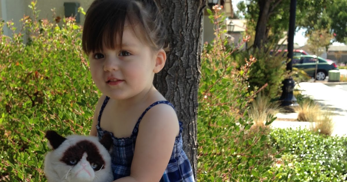 judi online terpecaya