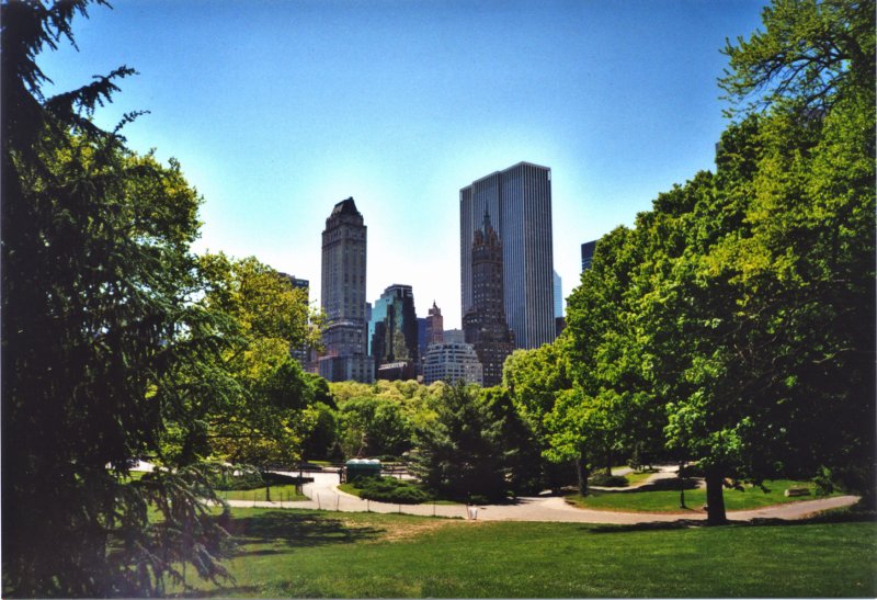 situs judi online terbaik